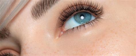 At what age do eyelashes stop growing. Things To Know About At what age do eyelashes stop growing. 